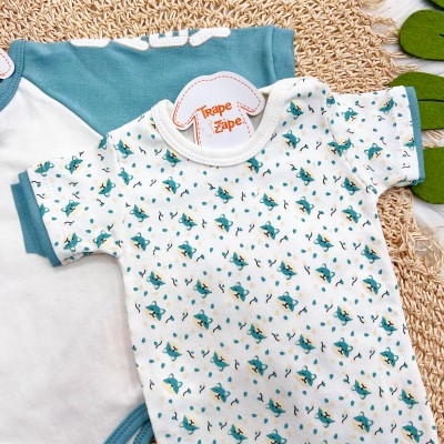 CONJ. DE MALHA 3 PEÇAS - Baby Raposinhas - Verde Menta